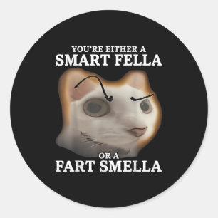 Je bent of een slimme kerel of een scheet die grap ronde sticker