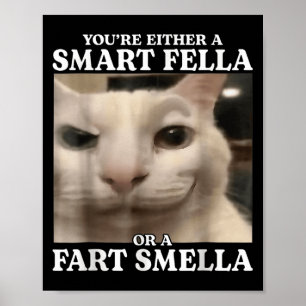 Je bent óf een slimme vent óf een scheet ruikende poster