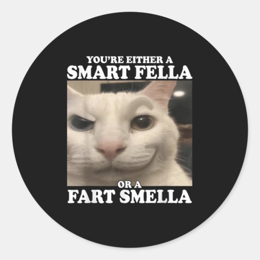 Je bent óf een slimme vent óf een scheet ruiker Gr Ronde Sticker (Voorkant)