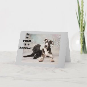 JE BENT OFFICIEEL EEN TIENER ** 13e VERJAARDAG ** Kaart