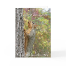 Je bent op weg naar boven