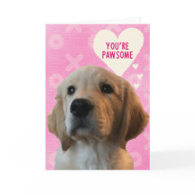 Je bent PAWSOME Golden Love Valentijnskaart