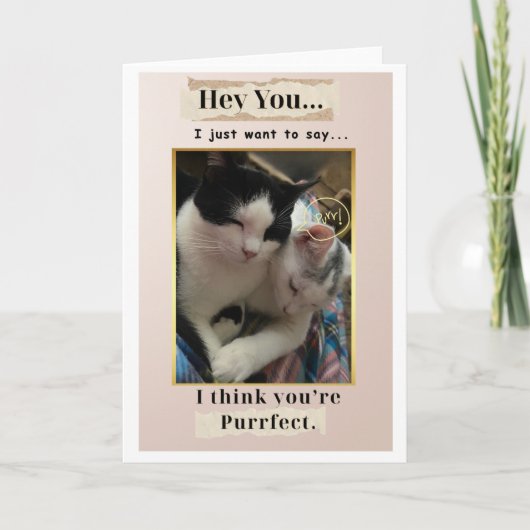 Je bent Purr-fect! Kaart (Voorkant)