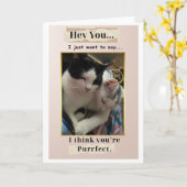 Je bent Purr-fect! Kaart (Gele Bloem)