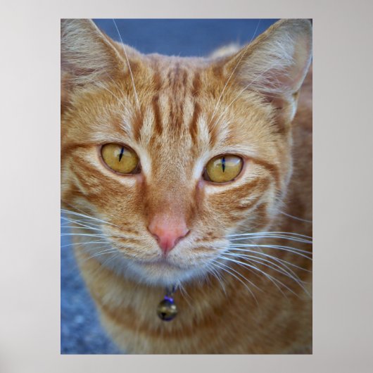 Je bent special_ Poster_by Elenne Boothe Poster (Voorkant)