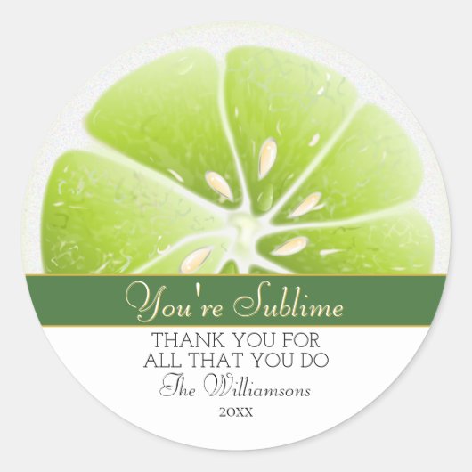 Je bent Sublime Limoen Citrus Fruit | Dank u wel Ronde Sticker (Voorkant)