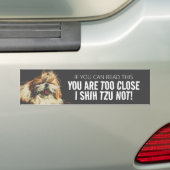 Je bent te dichtbij I shih tzu niet bumpersticker (Op auto)