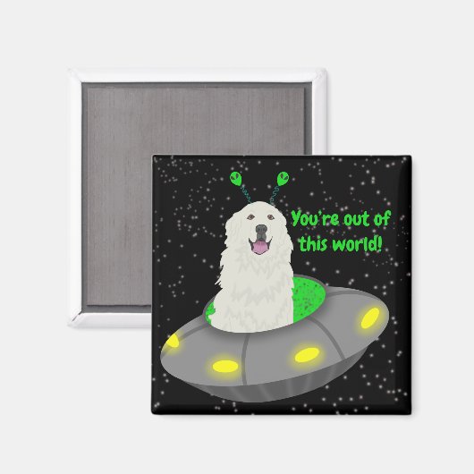 je bent uit deze wereld! magneet (Voorkant / Achterkant)