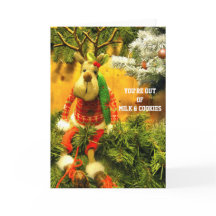 JE BENT UIT MiLK EN COOKiES 2