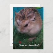 Je bent uitgenodigd kaart (Voorkant / Achterkant)