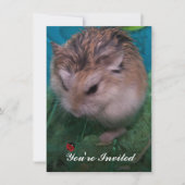 Je bent uitgenodigd kaart (Voorkant)