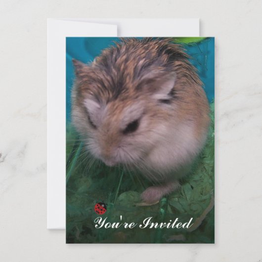 Je bent uitgenodigd kaart (Voorkant)