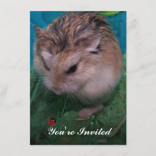 Je bent uitgenodigd kaart