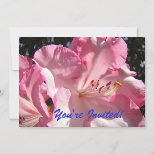 Je bent uitgenodigd. Tot ziens op het feest. uitno Kaart (Voorkant)