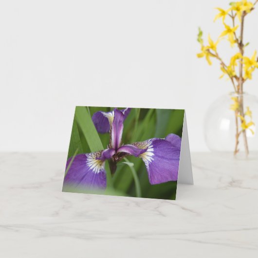 Je bent vandaag levendig begroet kaart (Gele Bloem)