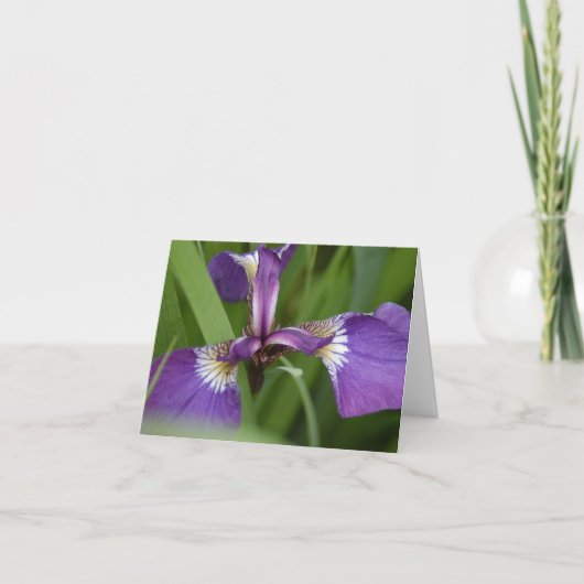 Je bent vandaag levendig begroet kaart (Voorkant)