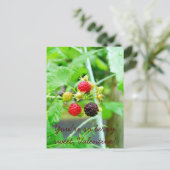 Je bent zo Berry Sweet Raspberry Valentijn Feestdagenkaart (Staand voorkant)