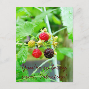 Je bent zo Berry Sweet Raspberry Valentijn Feestdagenkaart