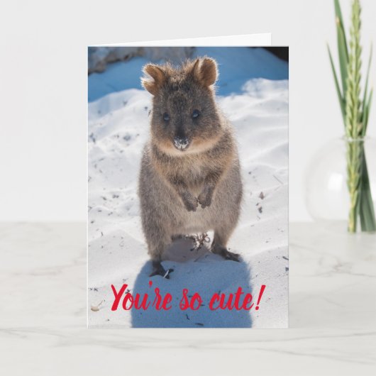 Je bent zo Cute Quokka op de Beach Valentijn Kaart (Voorkant)