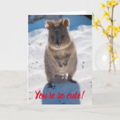 Je bent zo Cute Quokka op de Beach Valentijn Kaart (Gele Bloem)