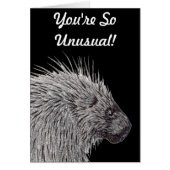 Je bent zo ongewoon Porcupine (Voorkant)