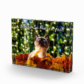 Je bent zo perfect | Foto van Kitten | Acrylblok (Rechts)