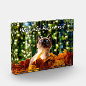 Je bent zo perfect | Foto van Kitten | Acrylblok (Links)