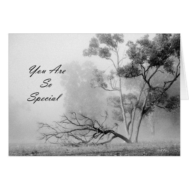 Je bent zo speciaal (Voorkant Horizontaal)