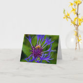 Je bent zoet als honing groet kaart (Gele Bloem)