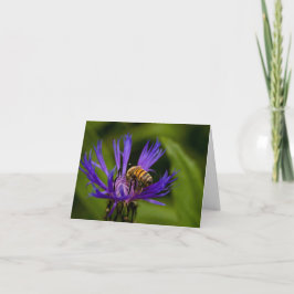 Je bent zoet als honinggroet kaart