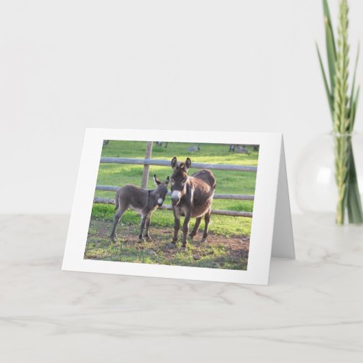 JE BESLUIT **ONDEUGEND** OF **LEUK** VOOR KERSTMIS FEESTDAGEN KAART (Voorkant)