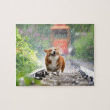 Je beste vriendjeshond aanpassen