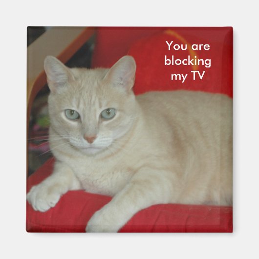 Je blokkeert mijn tv magneet (Voorkant)