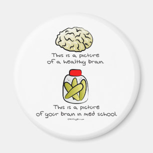 Je brein in de Med School Magneet