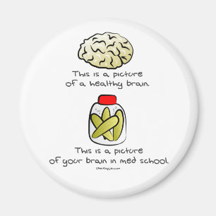 Je brein in de Med School Magneet