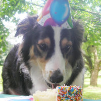 "Je Cake hebben en hem ook eten!"