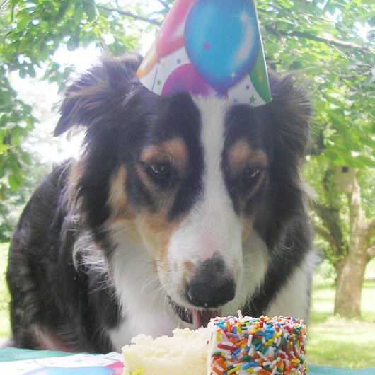 "Je Cake hebben en hem ook eten!" Feestdagen Kaart