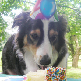 "Je Cake ook eten!" Bedankkaart