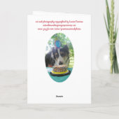 "Je Cake ook eten!" Bedankt Ca (Achterkant)