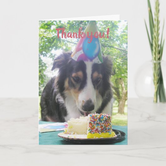 "Je Cake ook eten!" Bedankt Ca (Voorkant)