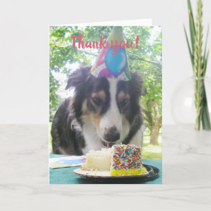 "Je Cake ook eten!" Bedankt Ca