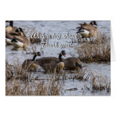 Je creditcard invoeren (Voorkant Horizontaal)