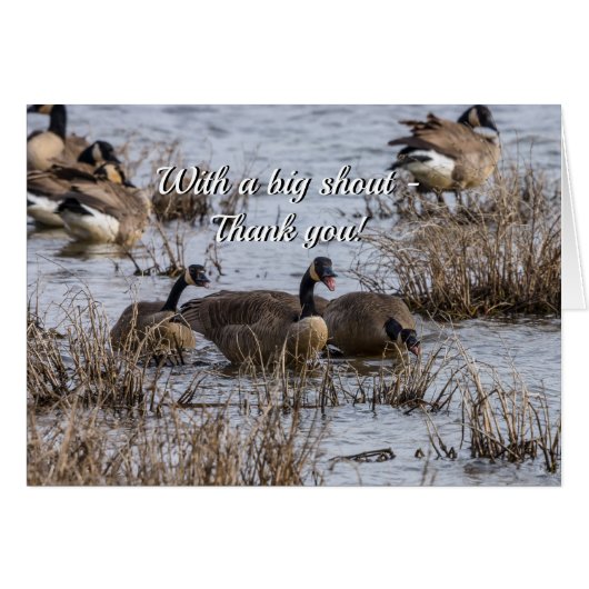 Je creditcard invoeren (Voorkant Horizontaal)