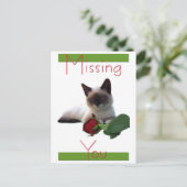 Je creditcard ontbreekt briefkaart (Staand voorkant)