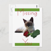 Je creditcard ontbreekt briefkaart (Voorkant / Achterkant)