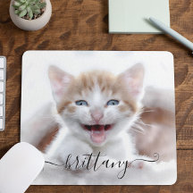 Je Cute Familie Huisdier Kitten Foto