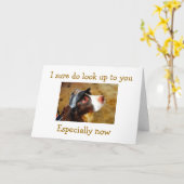 JE DRAAIDE "40" BLIK OP JE KAART (Gele Bloem)