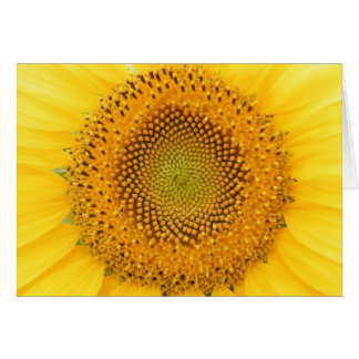 Je een glimlach sturen