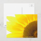 je eigen zonnebloem zijn briefkaart (Voorkant / Achterkant)