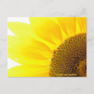 je eigen zonnebloem zijn briefkaart